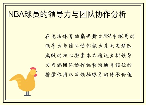 NBA球员的领导力与团队协作分析