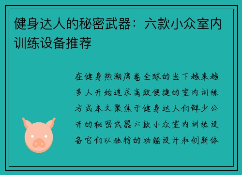 健身达人的秘密武器：六款小众室内训练设备推荐