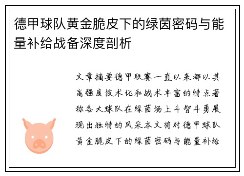 德甲球队黄金脆皮下的绿茵密码与能量补给战备深度剖析